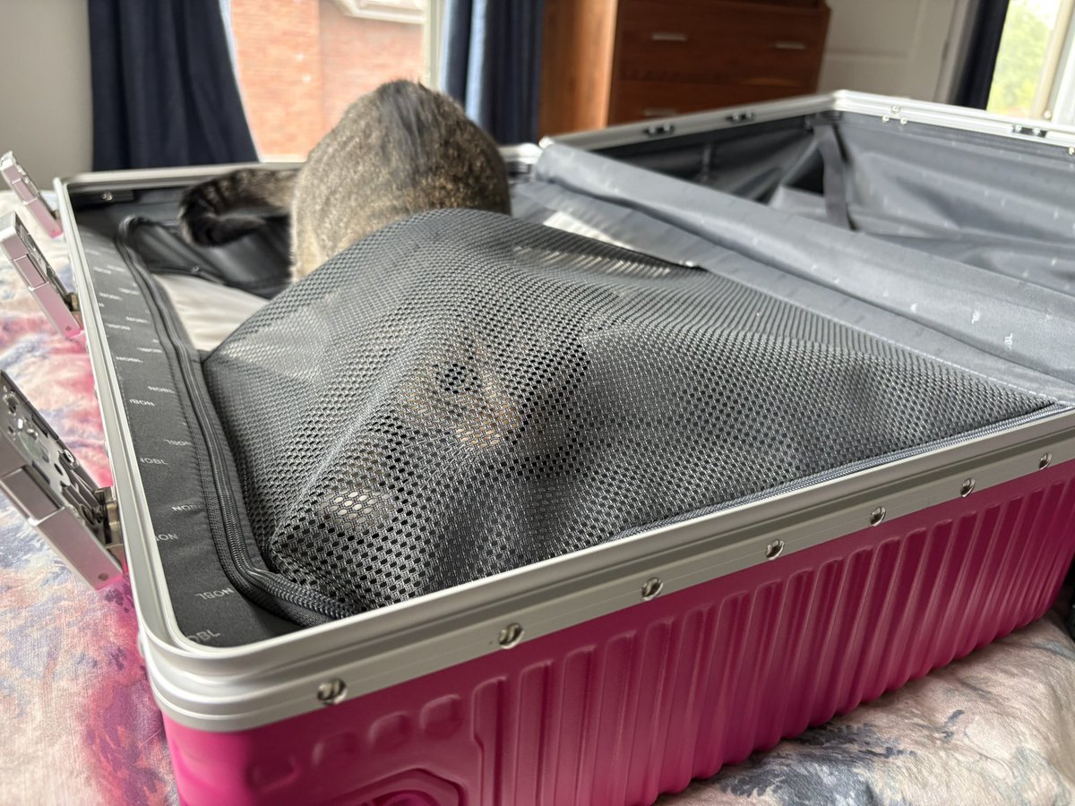 Kelsi Thompson, MBA, MFA tweet media