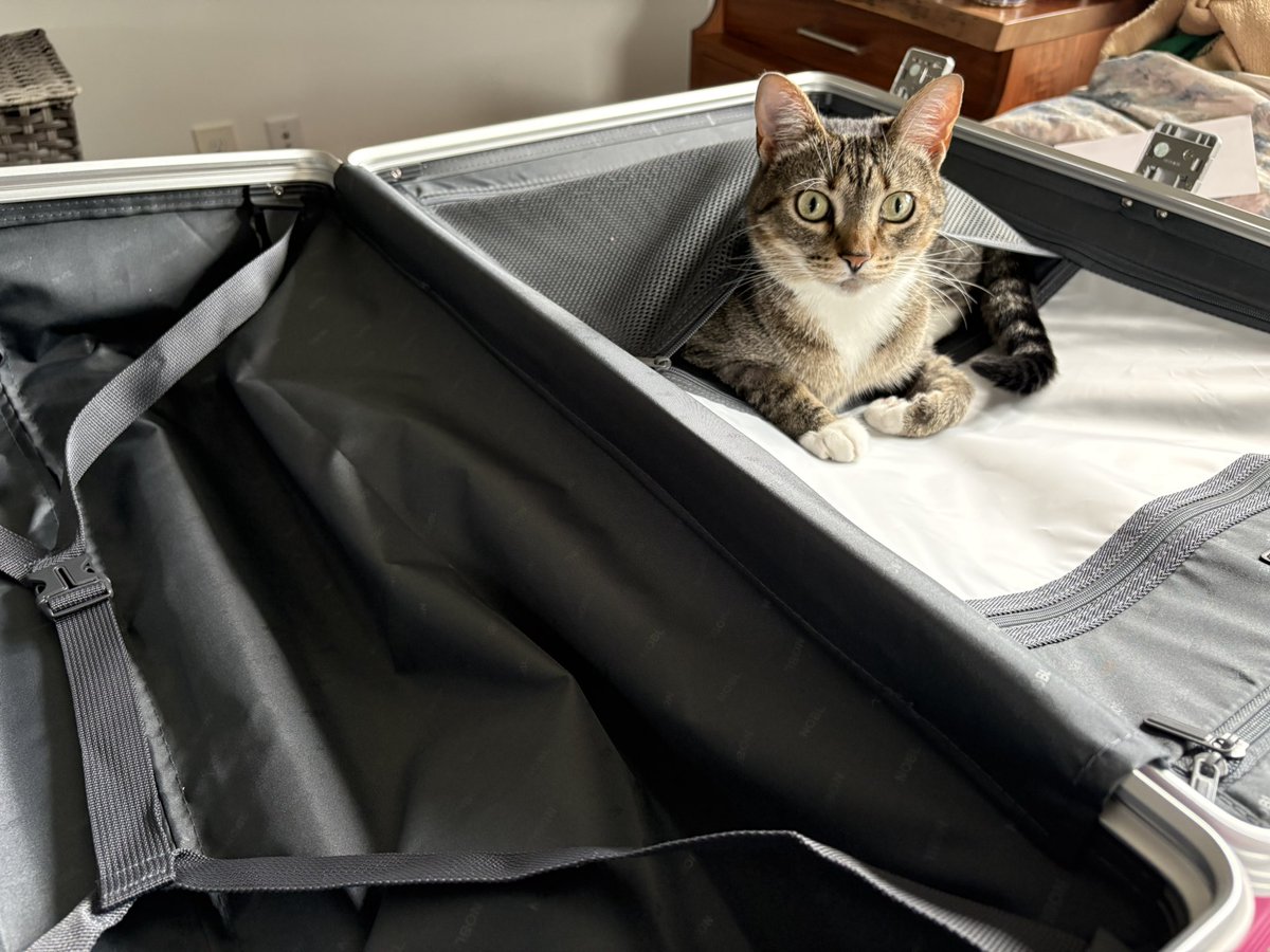 Kelsi Thompson, MBA, MFA tweet media