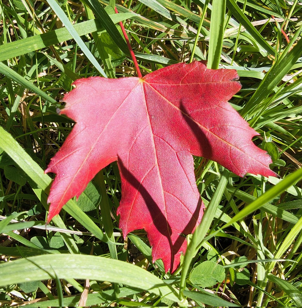 #AutumnVibes #naturebeauty