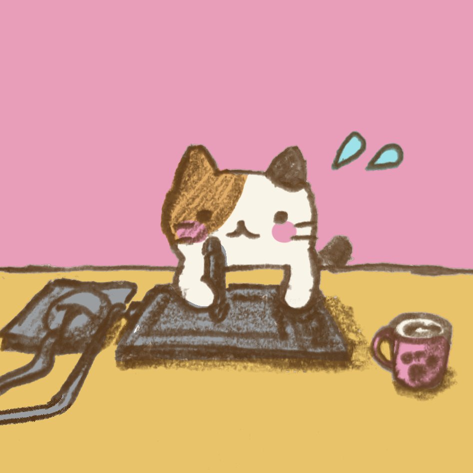 ねこ好き on X: 