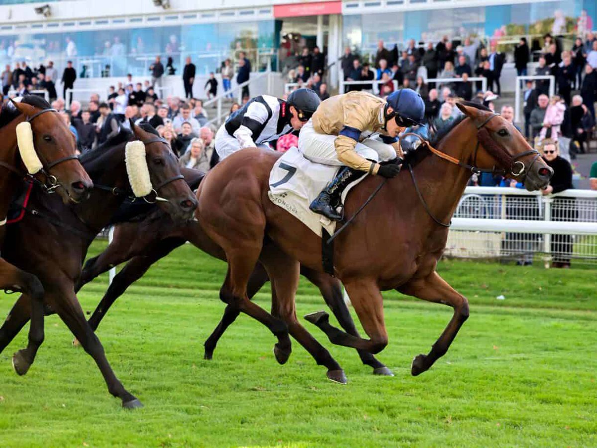 Hambleton Racing tweet media