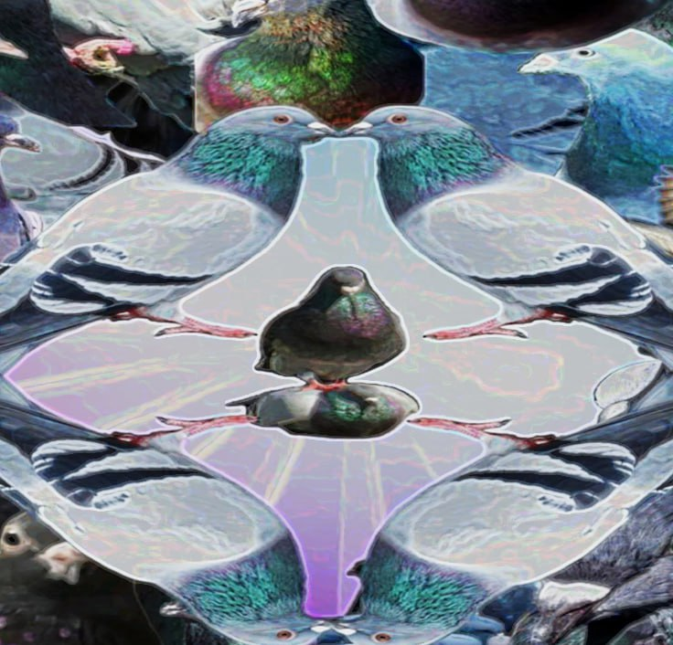 coocoonomics's tweet image. coo-coo               coo-coo

           coo-coo coo-coo 

coo-coo                                           coo-coo

coo-coo
coo-coo