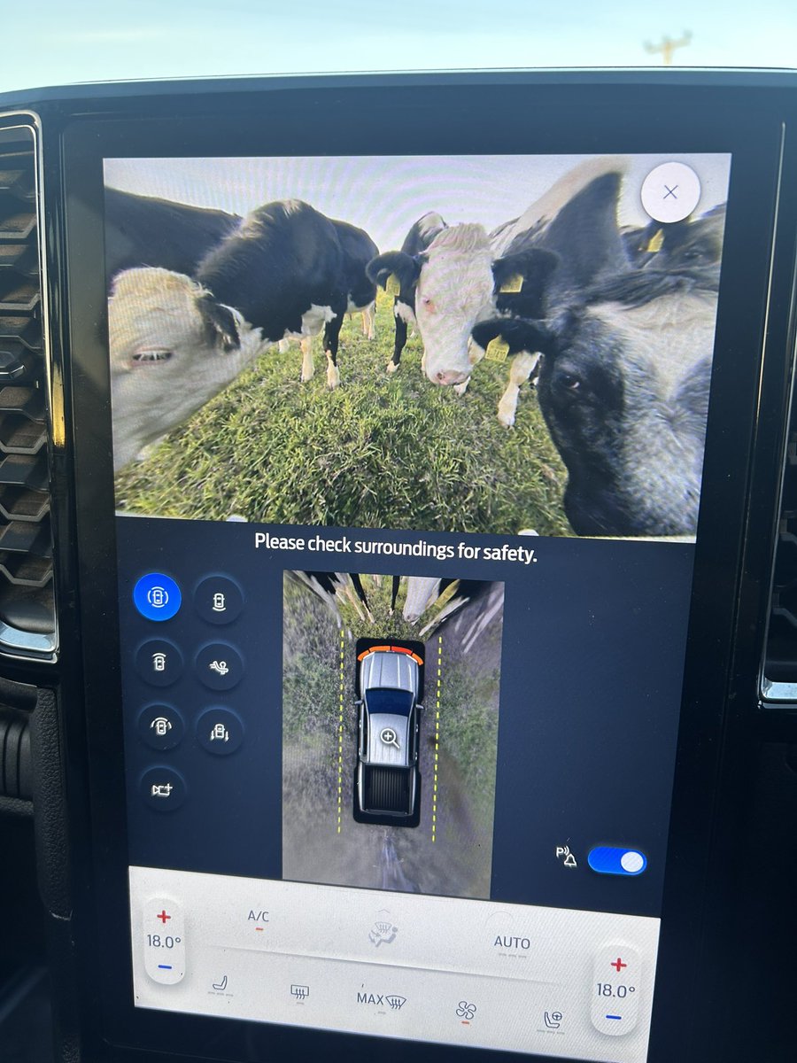 Cornish agronomy problems 🤣