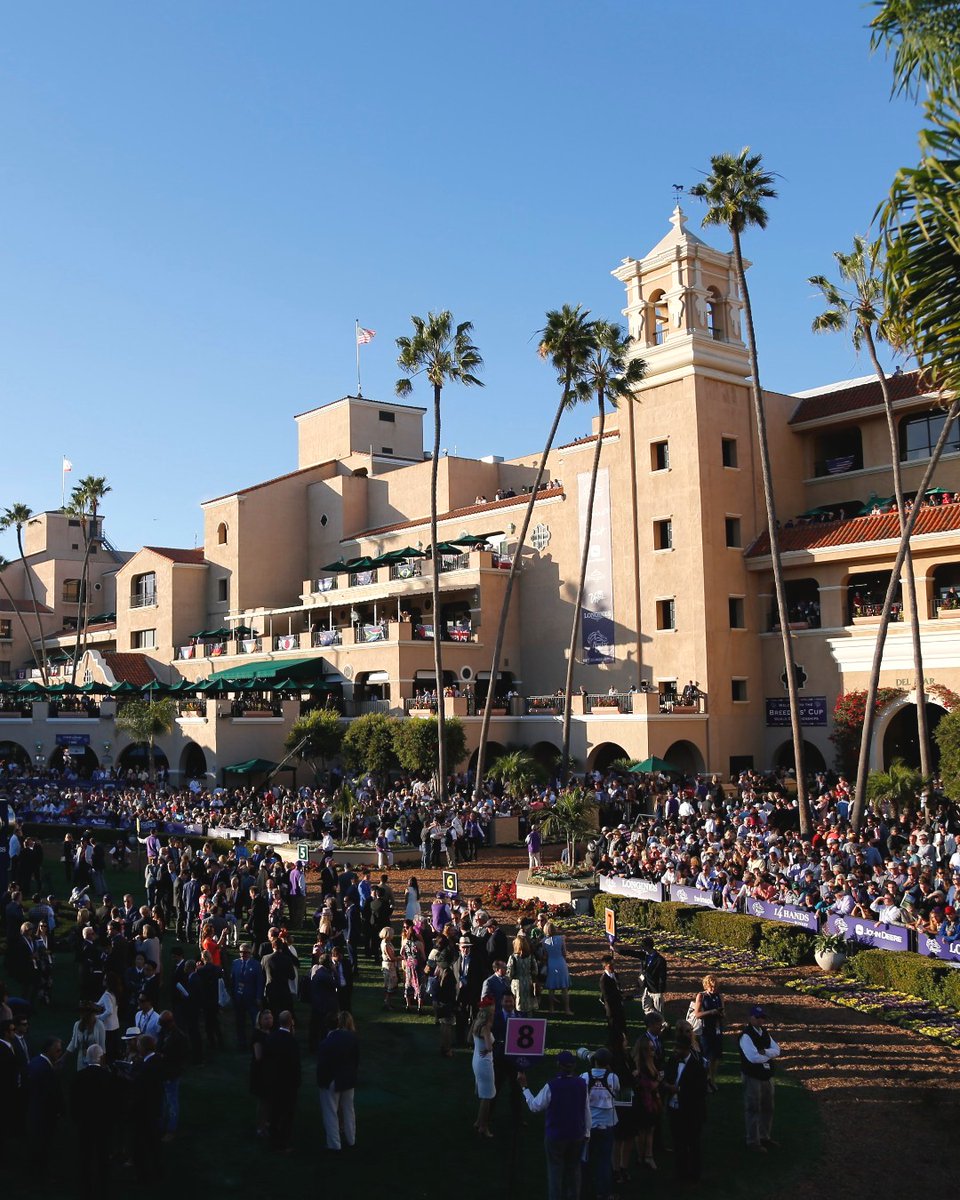BreedersCup's tweet photo. Throwback to #BC17 because #BC25 is right around the corner at @DelMarRacing! 🐎 

Get your #BC25 tickets NOW! 🎟️ https://t.co/D1ztUjRz1K

📸 Eclipse Sportswire 
@SeatGeek https://t.co/RlnkBJsgdZ