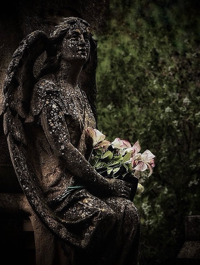 Calahorra 🪦🪦🪦🪦
Cementerio de la Planilla.
Una joya que estuvo a punto de desaparecer y gracias al tesón de un grupo de personas entusiastas se ha podido salvar. #Calahorra #Cementerio
instagram.com/p/DO6zRjdDN0g/…