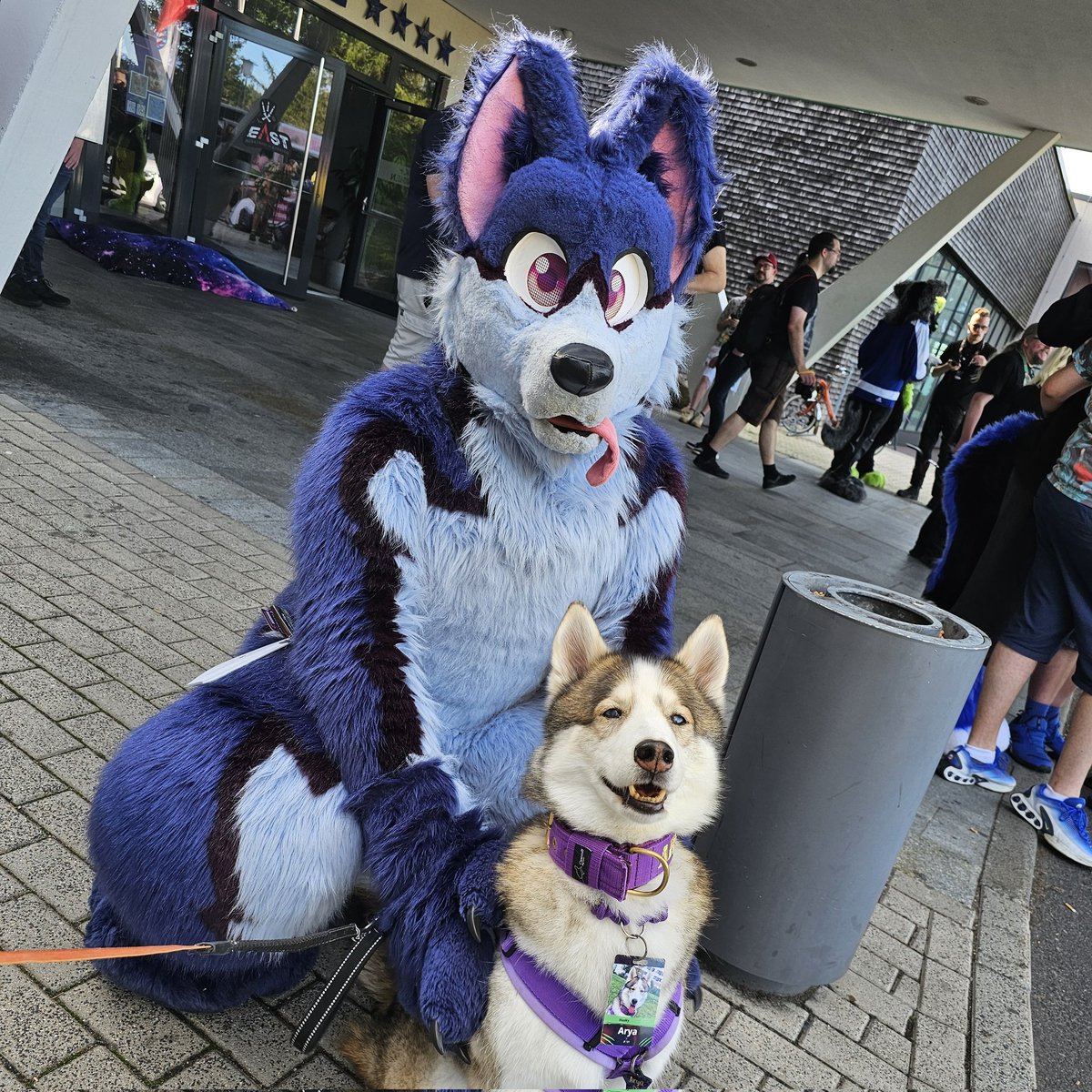 Taiga und so ... tweet media