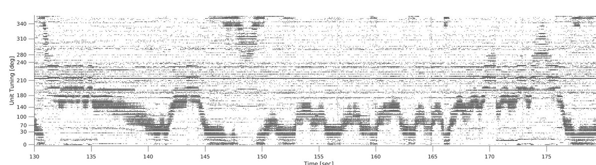 Science of the day: Head direction neurons usually need a decoder to reveal heading. With these raster plots, the heading is clear from the neurons' spiking activity.
Side science: although compared to an internal compass, the HD system isn’t tied to magnetic north
#Neuroscience
