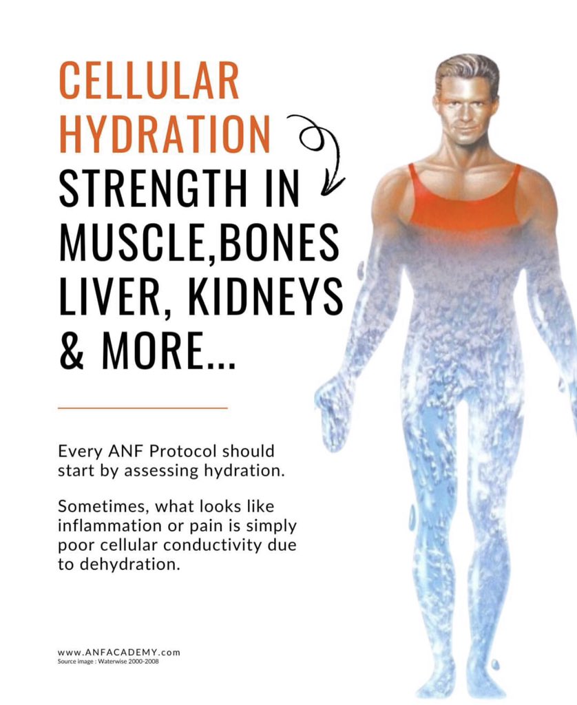 Pain or inflammation? It might just be dehydration at the cellular level. 💧

Every ANF Protocol begins by assessing hydration because proper cellular conductivity is key to strength in muscles, bones, liver, kidneys, and beyond.
#jojo_anime #PradaSS26 #health #BallonDor #health