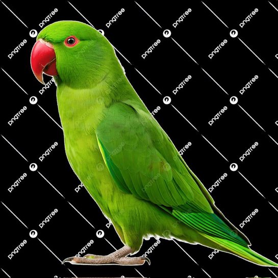 تيفو الاهلي 

 #الاهلي_بيراميدز