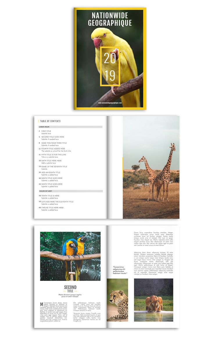 RoseAngel911275's tweet photo. #6 #tips #to #design #a #magazine #like #National #Geographic https://t.co/oQkCpN4RsX