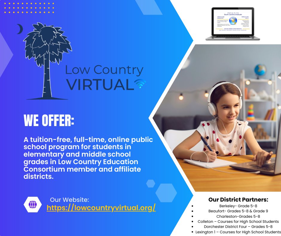 Low Country Virtual tweet media