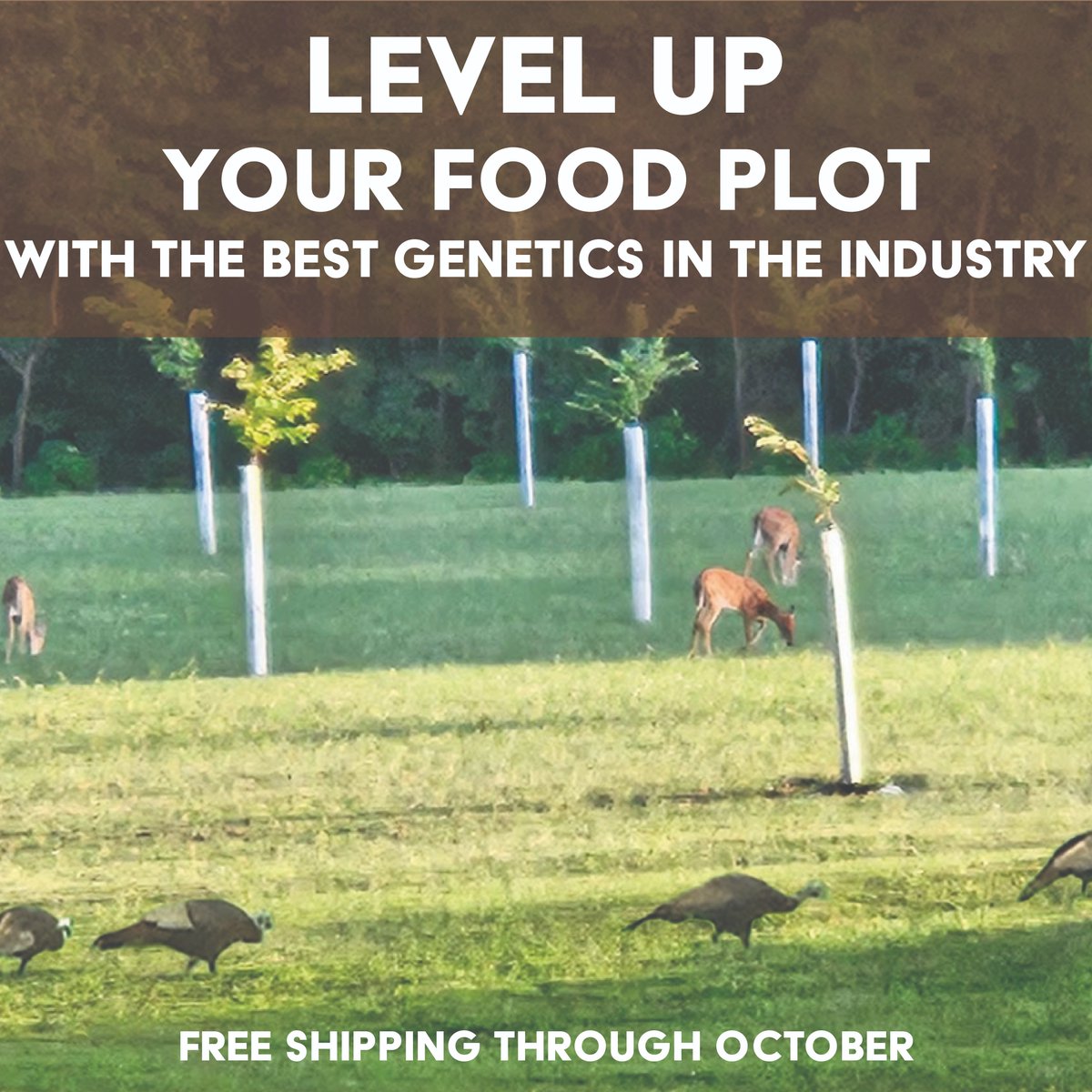 🦌 UPGRADE YOUR FOOD PLOTS 🦌
Plant this spring &amp; hunt better for years to come.

Want to create the ultimate deer magnet? Skip the generic chestnut and persimmon seedlings and plant trees that actually deliver results. Smart hunters know: the best food plots start with the best