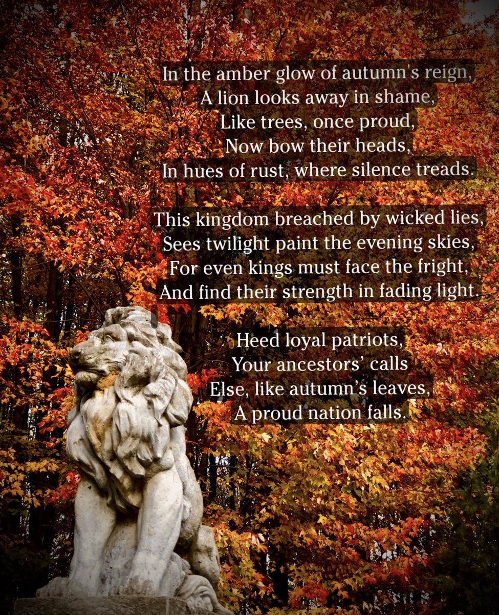 Sumner’s Thoughts & Opinions tweet media