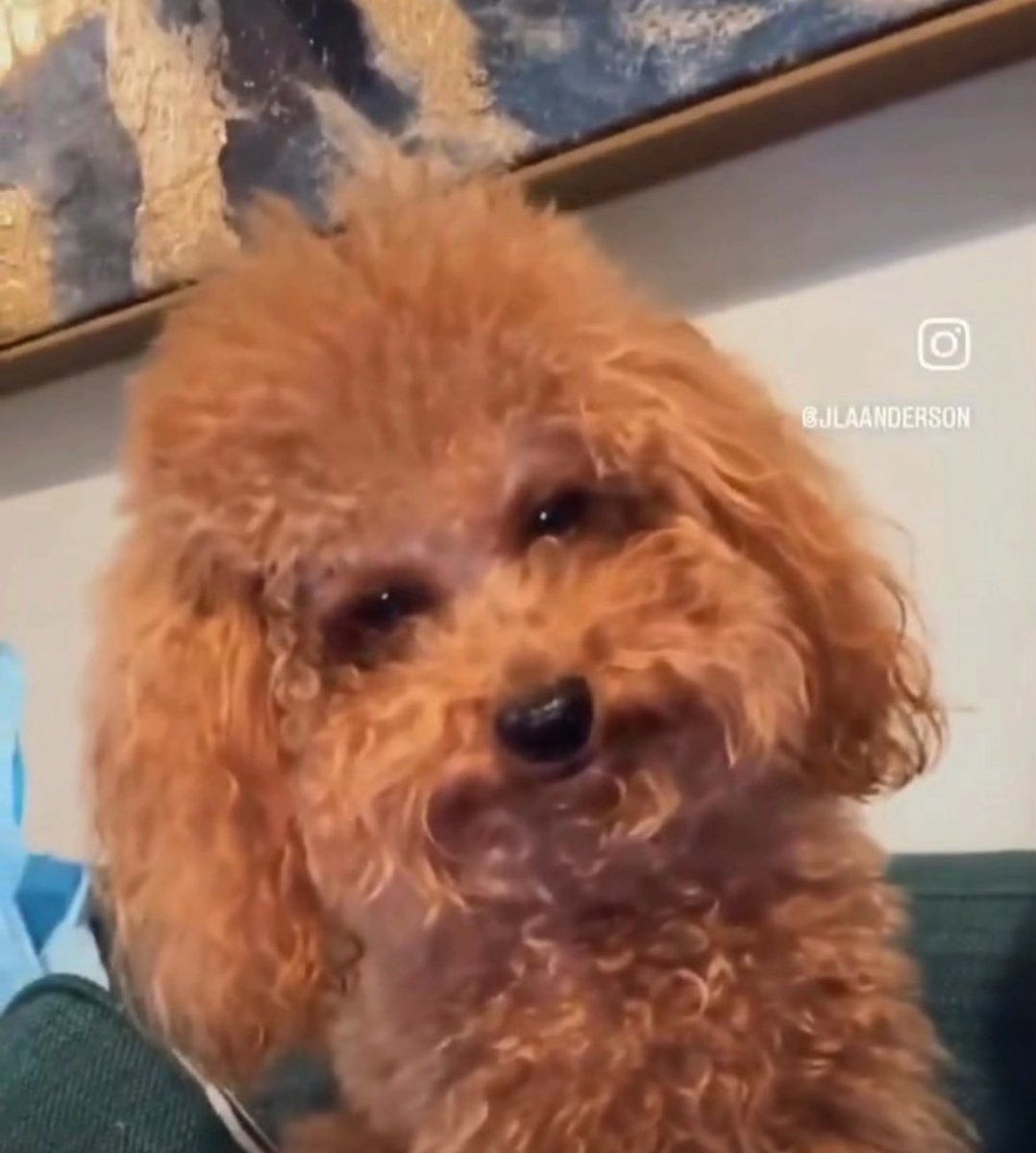 Today was the rapture, right?