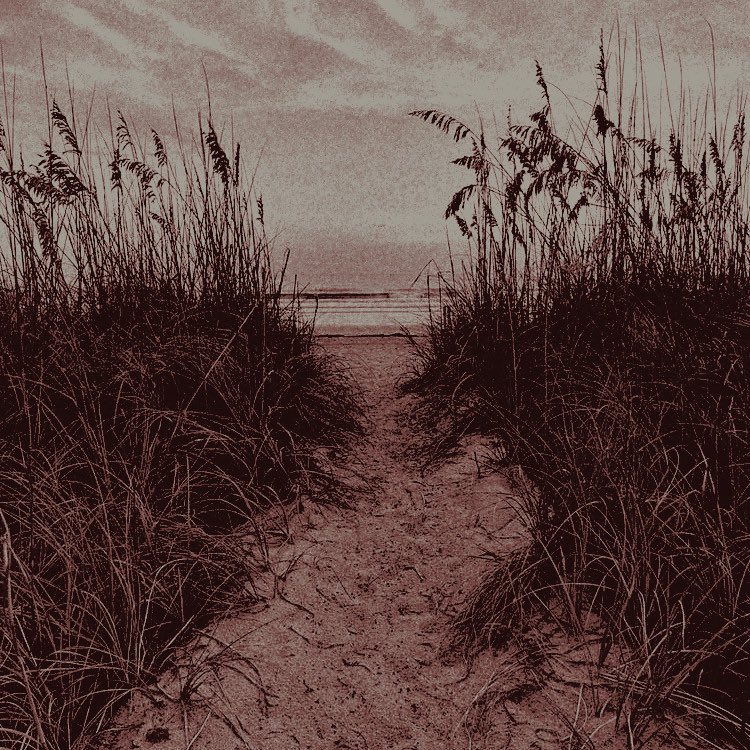 triedesire's tweet image. ⠀