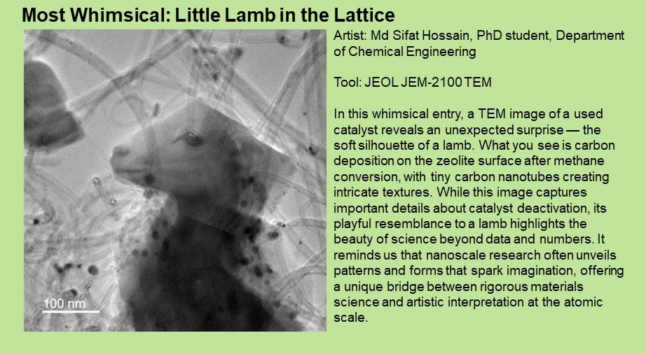 NanoEarth tweet media