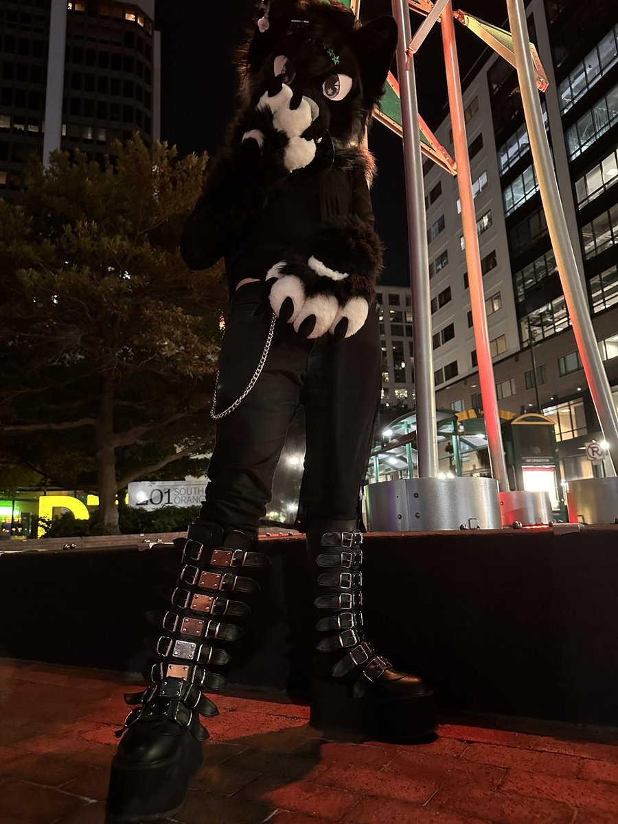 RAWR XD (@fawxdrainrr) / Posts / X