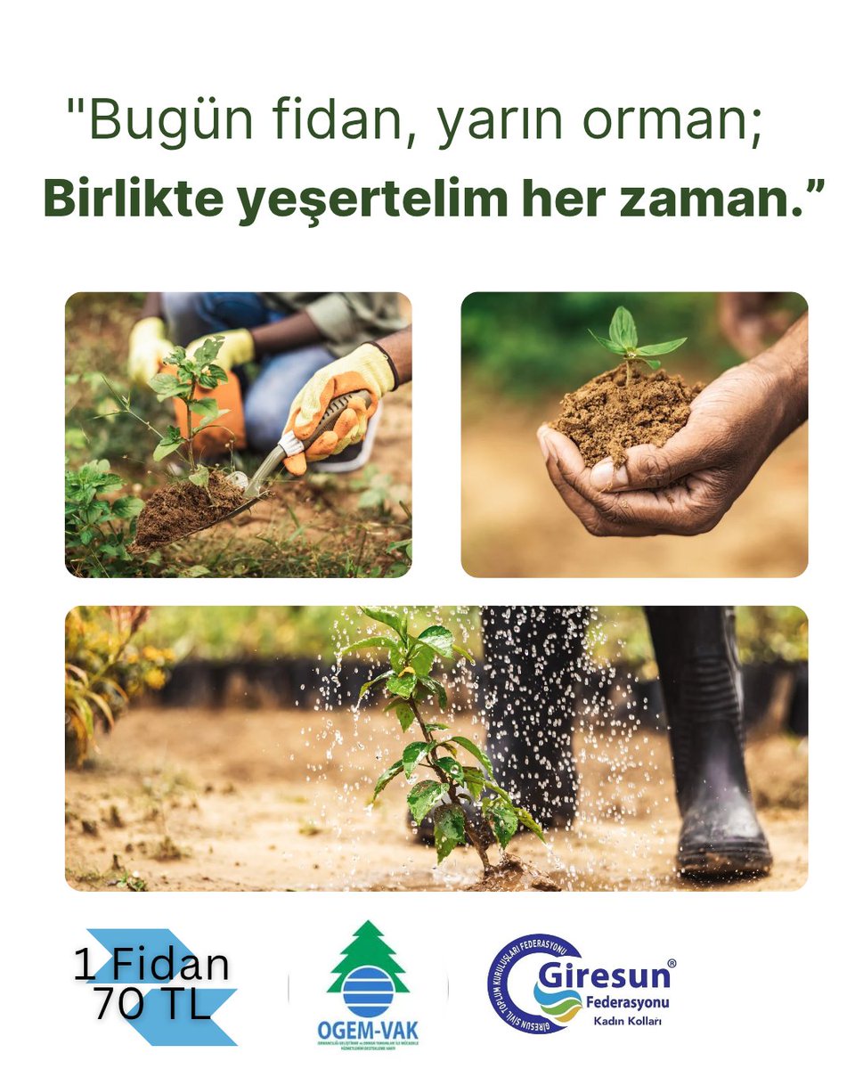 🌱 Giresun Federasyonu Kadın Kolları Hatıra Ormanı Projesi 🌱

Ogem işbirliği ile yanan ormanlarımızın yeniden yeşermesi için bir adım atıyoruz. Bağışlanan her fidan, doğaya ve geleceğimize bir umut ışığı oluyor.

#giresunfederasyonu 
#giresunfederasyonukadınkolları
#fidan
#orman