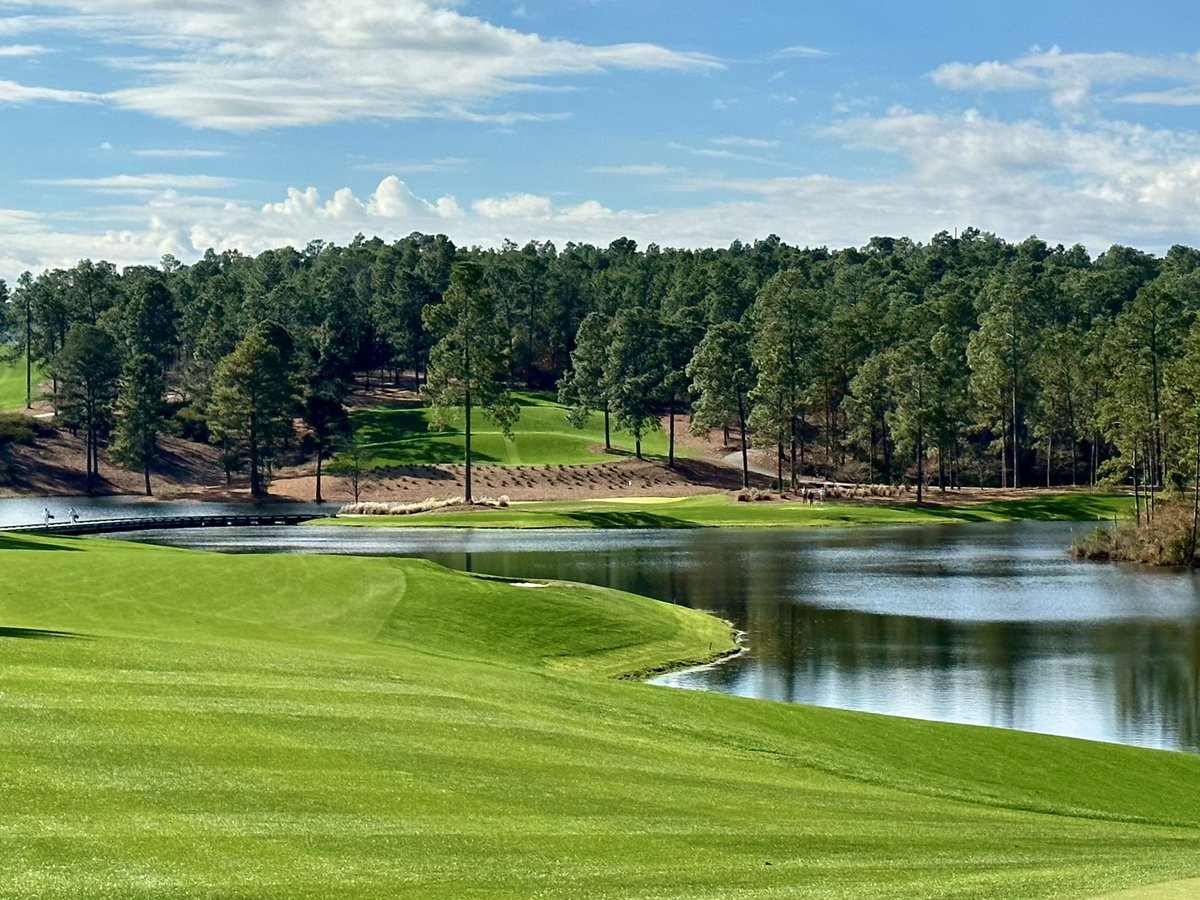 Shane Cullimore tweet media