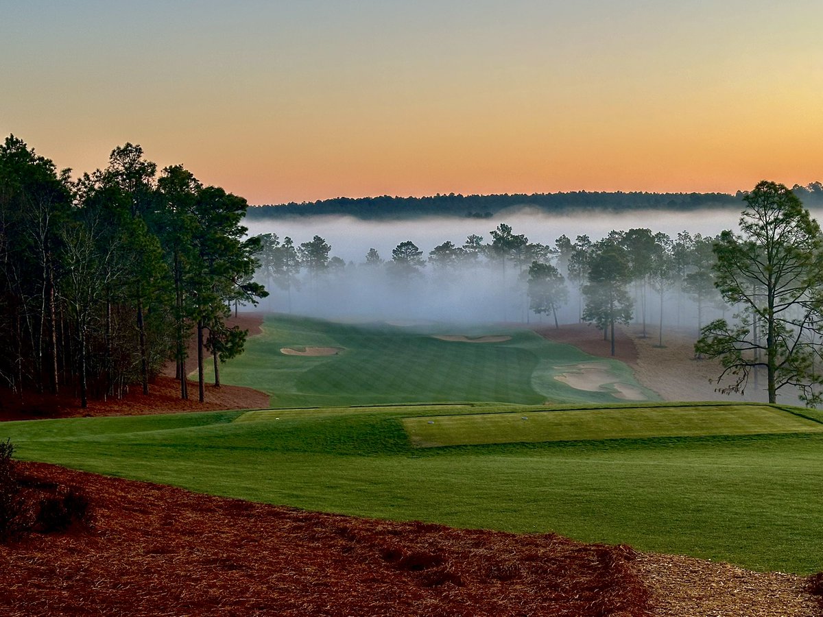 Shane Cullimore tweet media