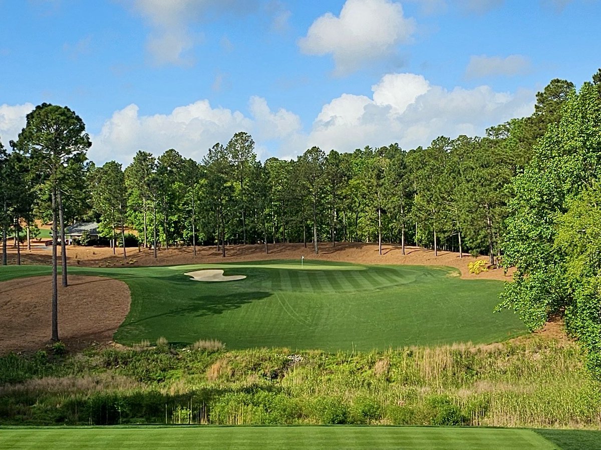 Shane Cullimore tweet media