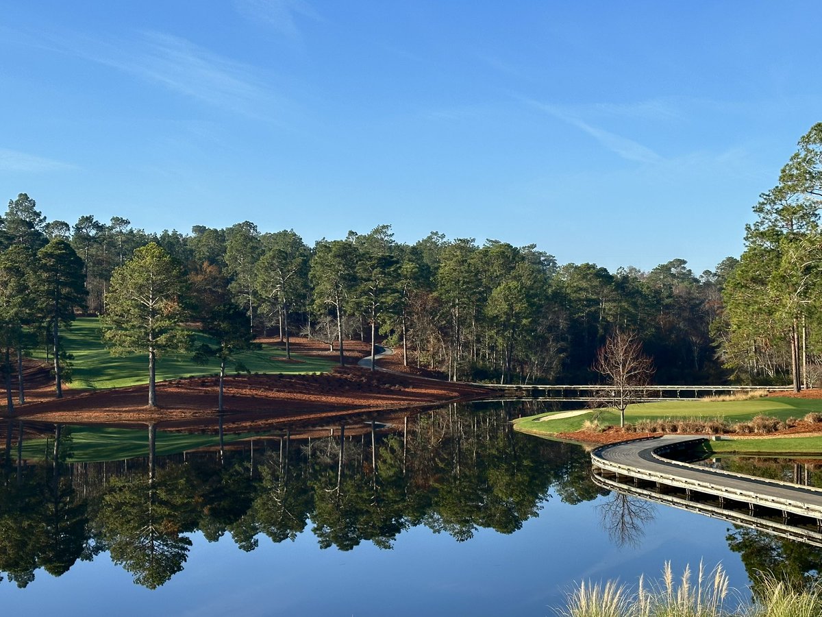 Shane Cullimore tweet media