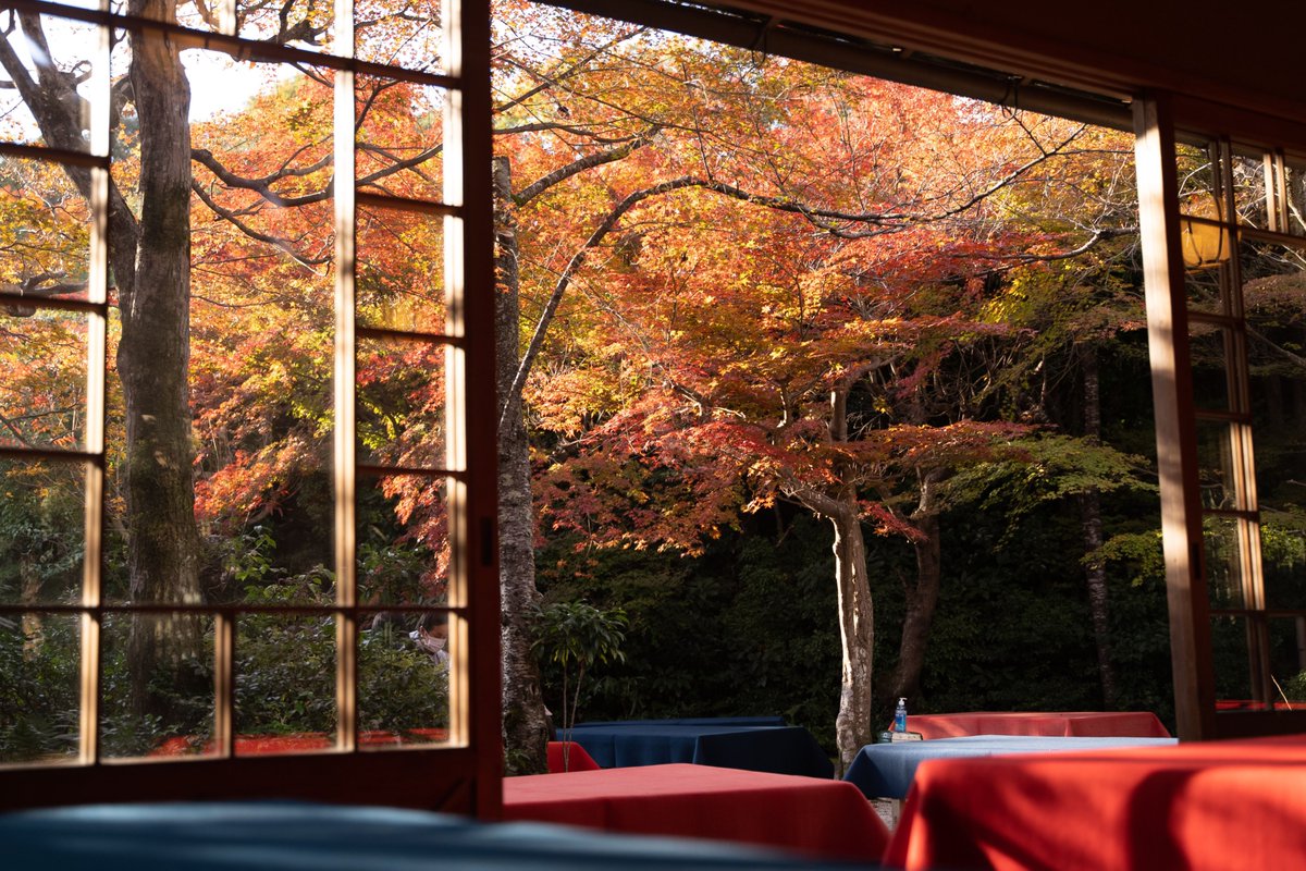 GaastroSpain's tweet image. 🍂 El verano se apaga lento y el otoño pide paso. Menos turistas, más clientes habituales y un paladar que oscila entre un tinto de verano y un guiso humeante. Adaptarse sin perder la esencia marca la diferencia.

#restaurantes #consejos #temporada #otoño

gastro-spain.com/como-preparar-…
