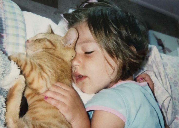 🪽 (@babysmelll) on Twitter photo 