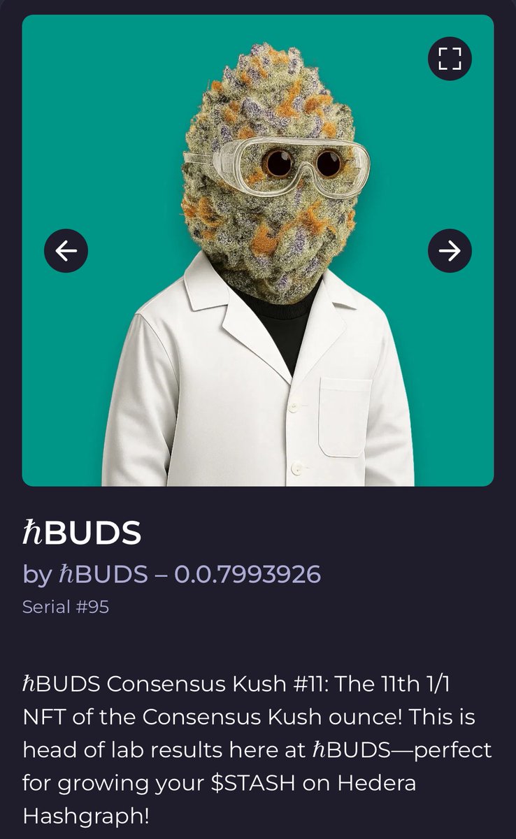 lenny_cto_hbar's tweet photo. #hbuds #consensuskush $stash https://t.co/3yW3tDanvd