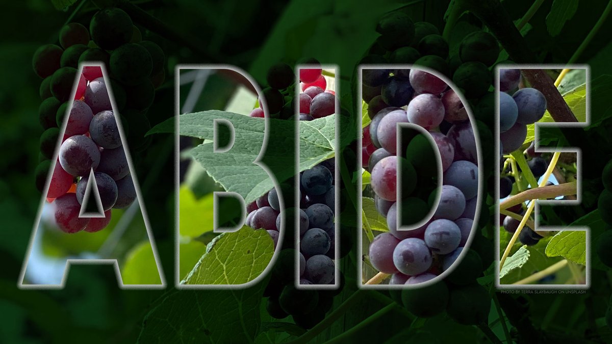 Worship with us at Luther Sem! This fall we spend 6 weeks w/ our ABIDE framework and communal spiritual practices from which it flows. Join us in person + connect online for livestream
Service of Holy Communion 11am Chapel of the Incarnation
Wed 9/24, 10/1, 10/8, 10/15, 10/22