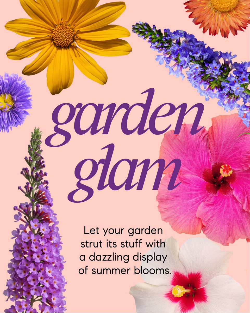 LiveInNashville's tweet image. Ready, Set, Show. ✨ Amp up your curb appeal with these seasonal ideas, and make a lasting first impression. 🌿🏡 📲 Get in touch with The Avenue Team to start your home glow-up today! #CurbAppealGoals #CompassAgent #HomeGlowUp #LuxuryLiving #AvenueTeam #NashvilleRealEstate