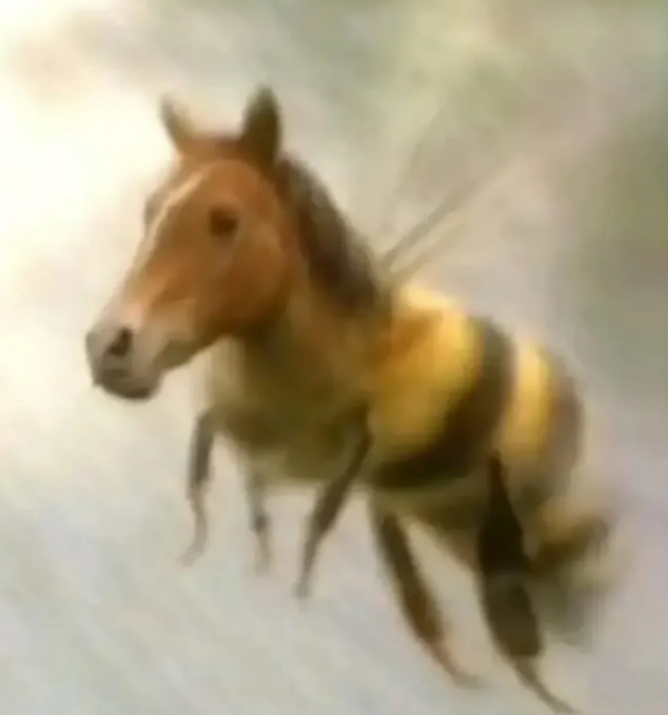 FraudTimer's tweet image. Guten Abend meine lieben Freunde!

Nachdem wir uns von den schaurigen Creepypastas am Abend erholt hatten, konnten wir erfolgreich in den Tag starten! Unser Sprichwort des Tages:

Eine Schwalbe macht noch keinen Sommer!

LG Die Jungs von FraudTime