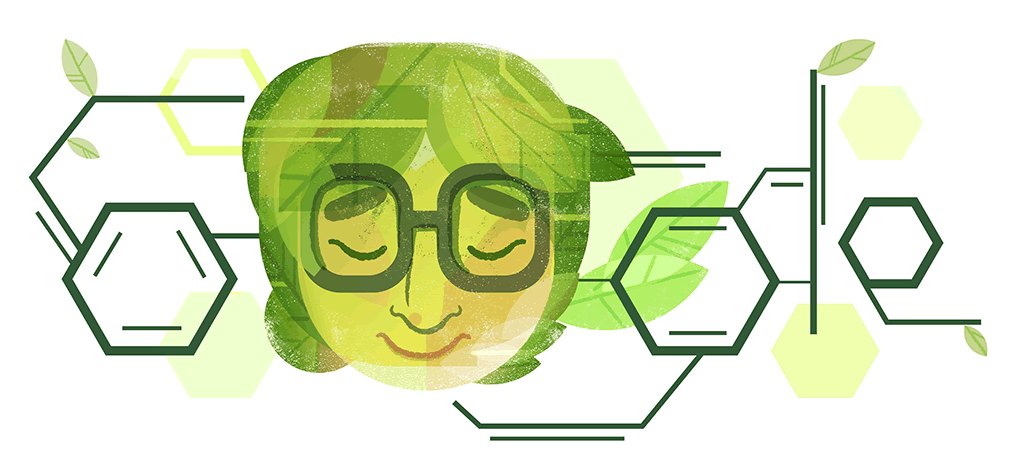 uga_langebio's tweet image. 🔵El #doodle de hoy celebra a la Dra. Asima Chatterjee. En 1920 era casi inaudito que una mujer estudiara química. Pero eso no detuvo a Chatterjee, se licenció en #química #orgánica y se doctoró en ciencias, la primera #mujer que lo hizo en la #India.