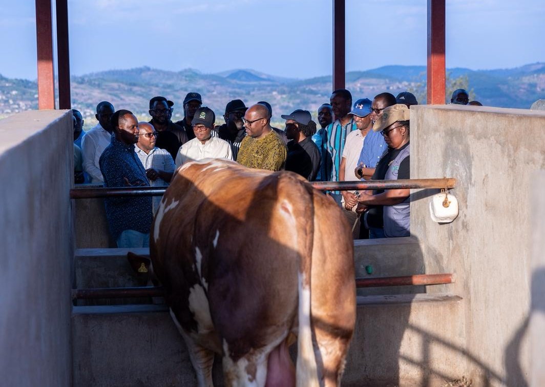 Office of the PM | Rwanda tweet media