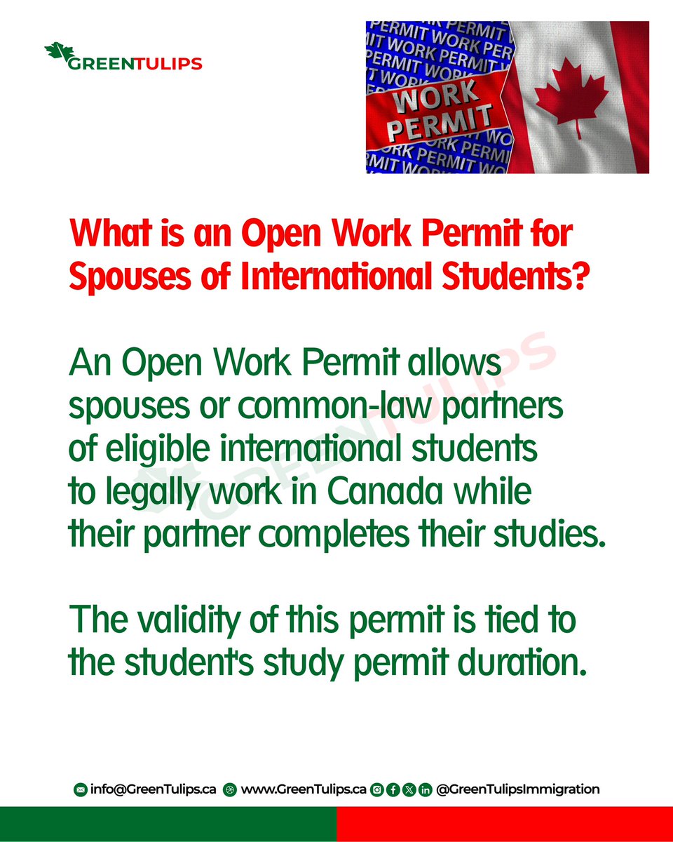 GreenTulipsImm's tweet image. Canada offer opportunities to both international students and their families. If your spouse or common-law partner is studying in Canada, you may be eligible for an open work permit. 

#Canada #CanadianImmigration #SpousalOpenWorkPermit #StudyinCanada #OpenWorkPermit #WorkPermit