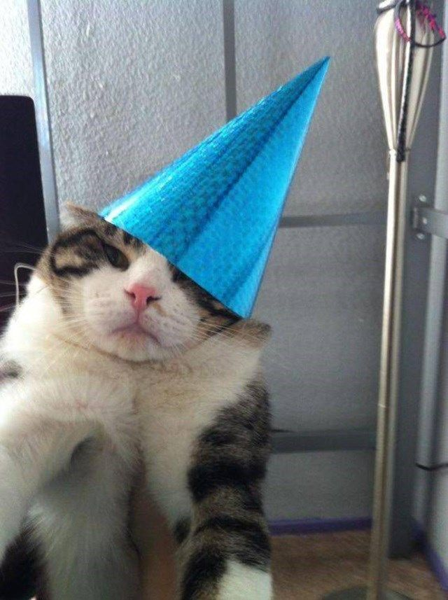 Scrollck's tweet image. Feliz aniversário pra eu😁🎊