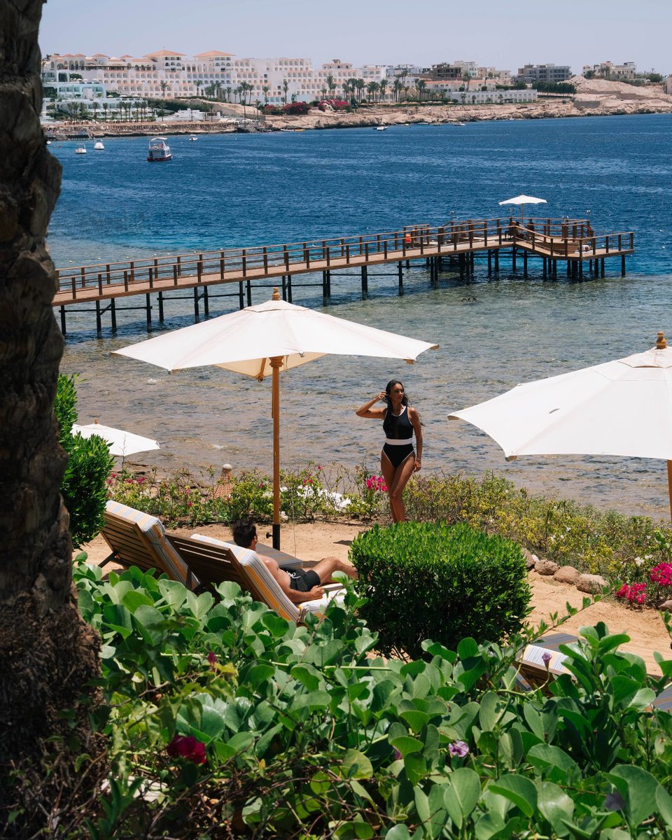 FSSharmElSheikh's tweet image. Spend your day soaking up the sun, snorkeling in crystal-clear waters, and simply relaxing amidst breathtaking beauty.

#Fourseasons #SharmElSheikh #FSSharmElSheikh