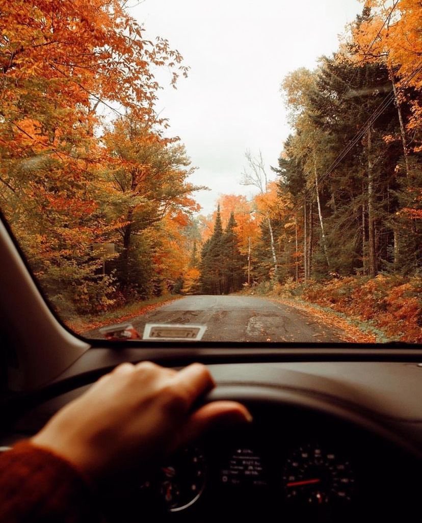 autumn is her happy season ☕️🍁