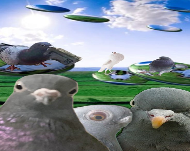 coocoonomics's tweet image. bread crust seekers 

$coo