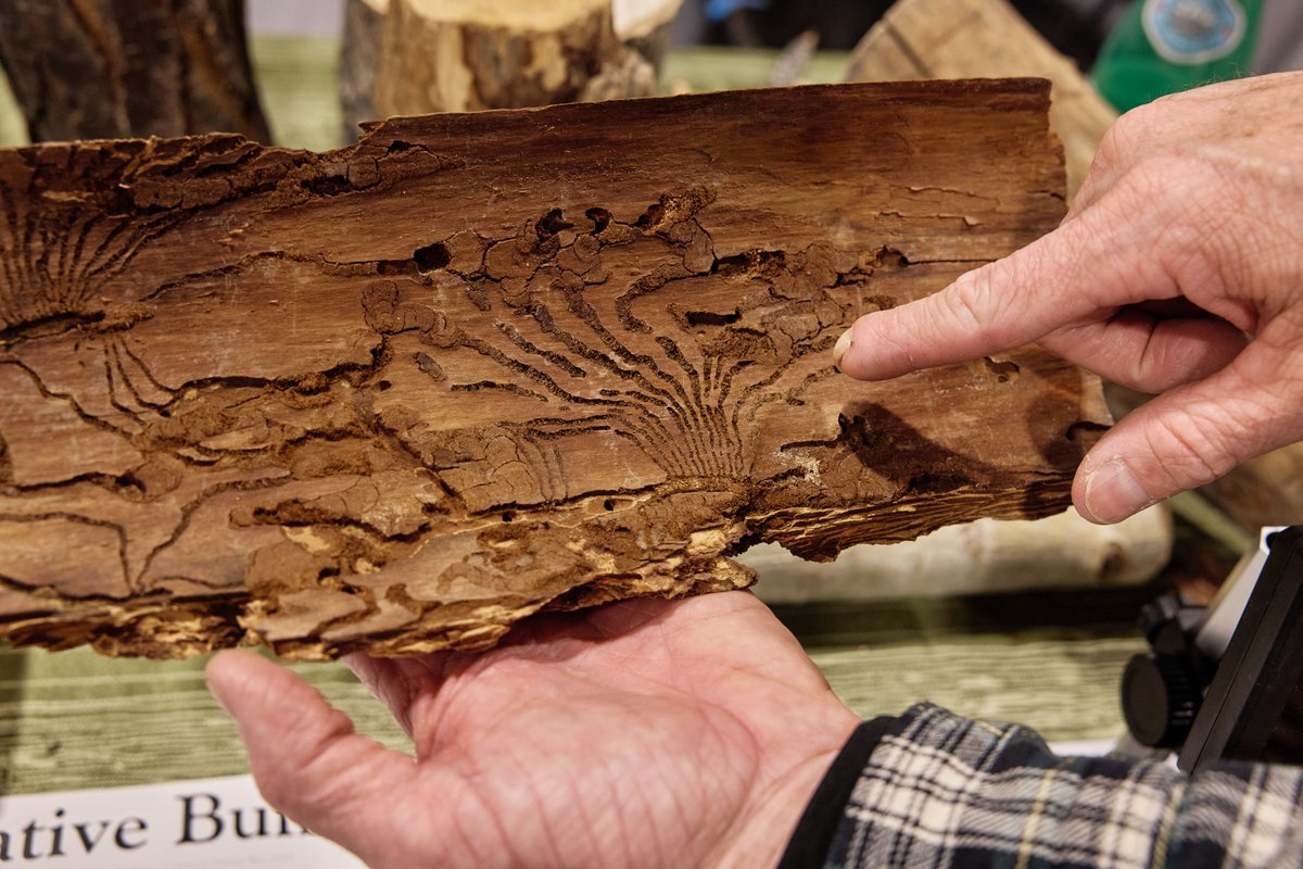 Why exhibit at #ProGreenEXPO? 

✔️ Connect with 5,000+ professionals who buy, build, and shape the industry
✔️ Showcase your products &amp; services to decision-makers before the busy season
✔️ Elevate your brand alongside 200+ exhibitors and 80+ education sessions.