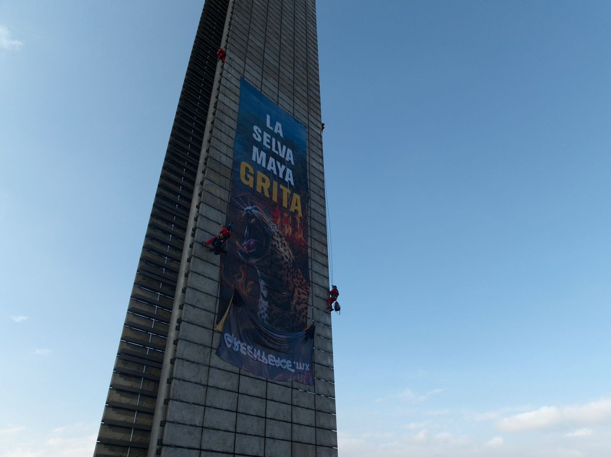 greenpeacemx's tweet photo. La #SelvaMaya está gritando.
Hoy activistas de Greenpeace escalamos la Estela de Luz para exigir a la SEMARNAT que actúe YA.
Las comunidades mayas y la biodiversidad están en riesgo por industrias extractivas que solo destruyen. https://t.co/n4FA4l8rEp