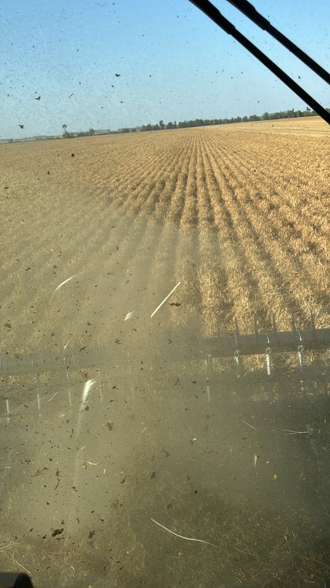 Tim Kozojed tweet media