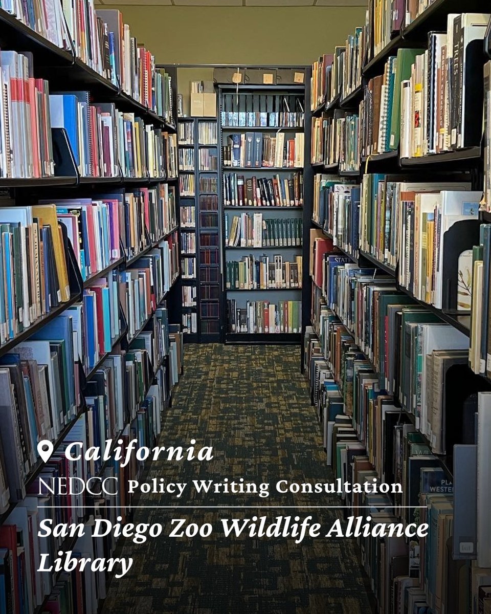 NEDCCInfo's tweet photo. The San Diego Zoo Wildlife Alliance Library is an essential resource, yet its location faces risks from wildfires &amp; earthquakes. NEDCC partnered w/ the Library to develop a tailored #disasterplan. Learn more: https://t.co/zc9pKZg3az #NationalPreparednessMonth #Libraries https://t.co/3W23PhZKeI