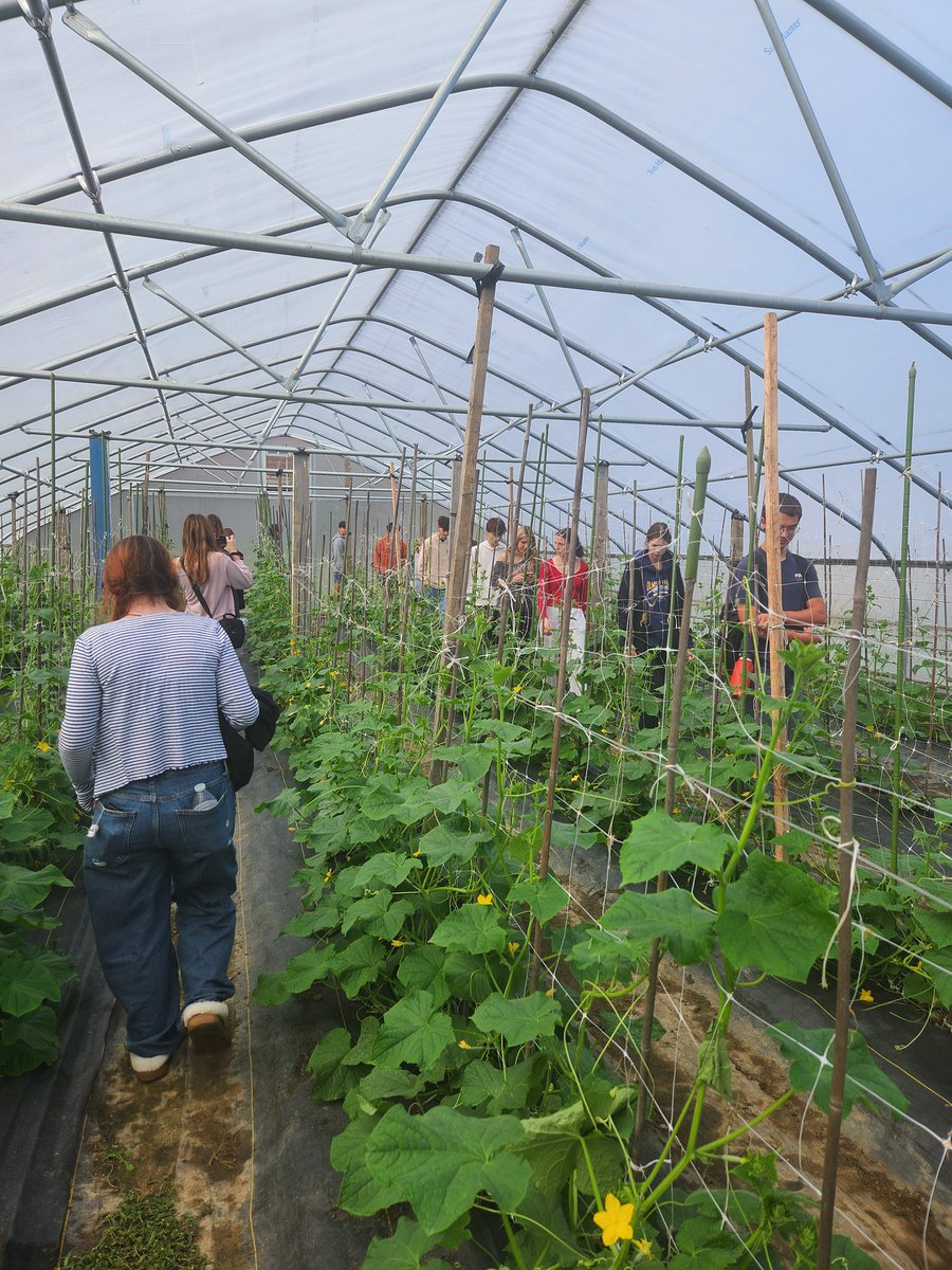 Mrs Jones tweet media