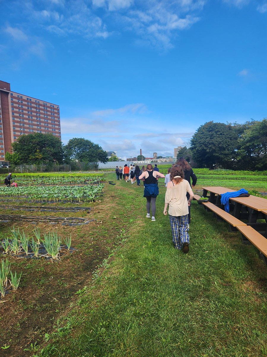 Mrs Jones tweet media