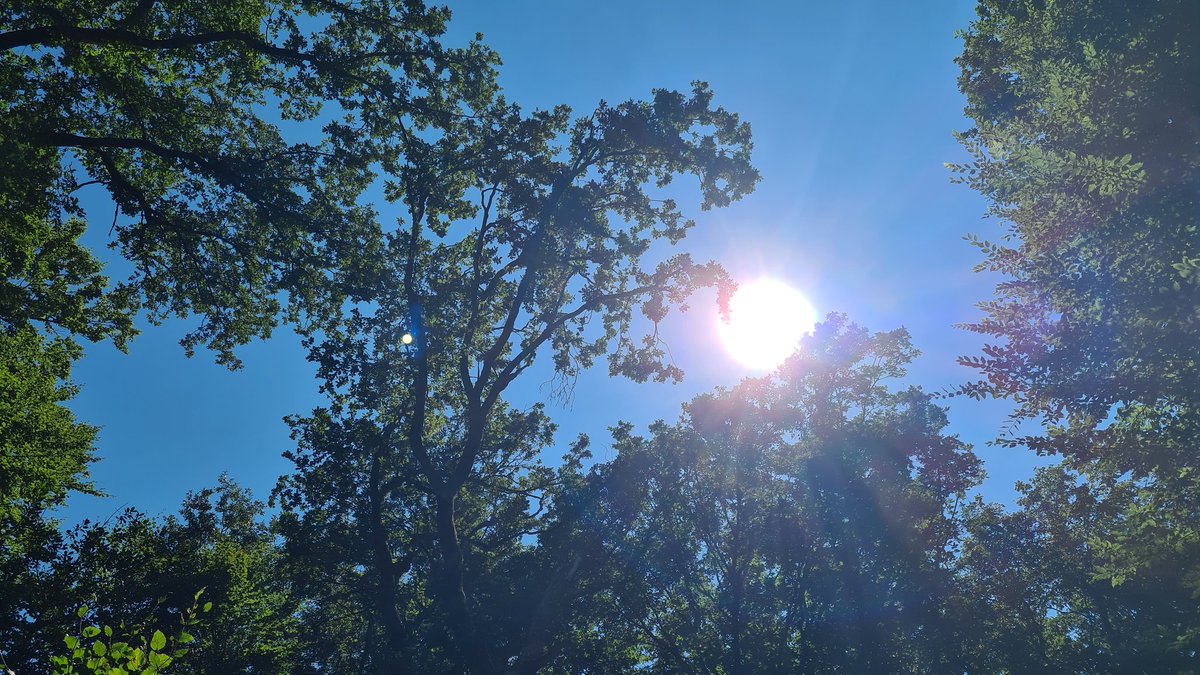 wx 🇲🇦 tweet media