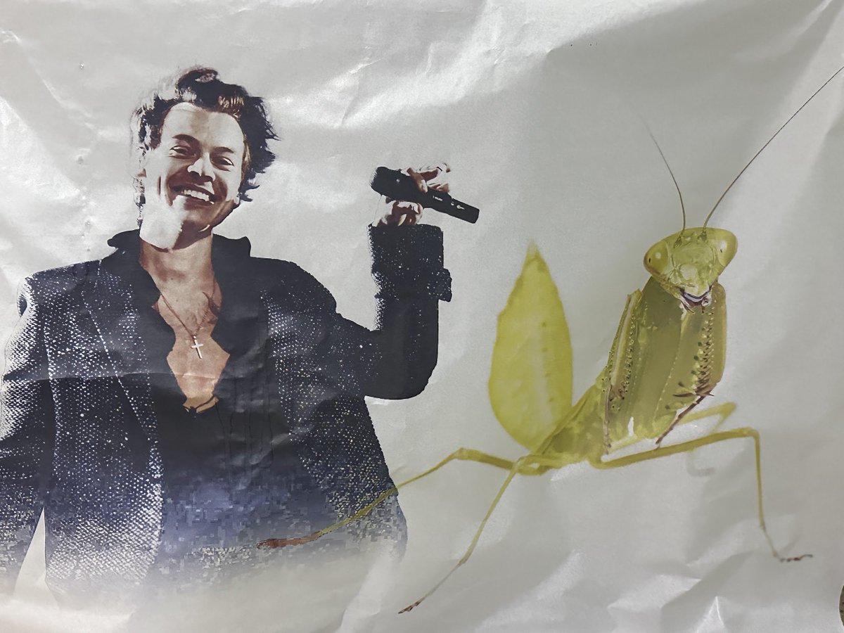 Achei essa foto da vez em que fizeram uma festa de aniversário para mim e para uma prima minha no mesmo dia kkkkkkkkkkk