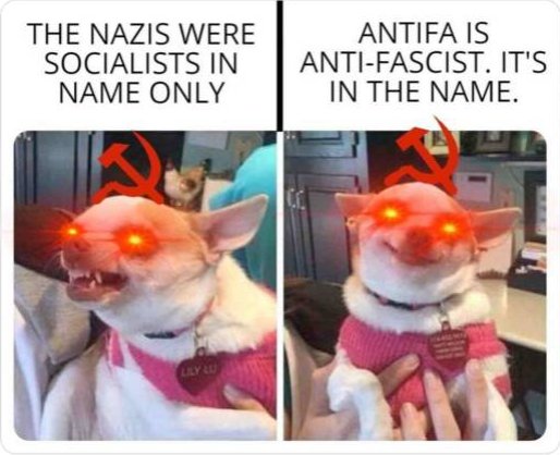 some dumb ape (@sountouchable2) on Twitter photo 