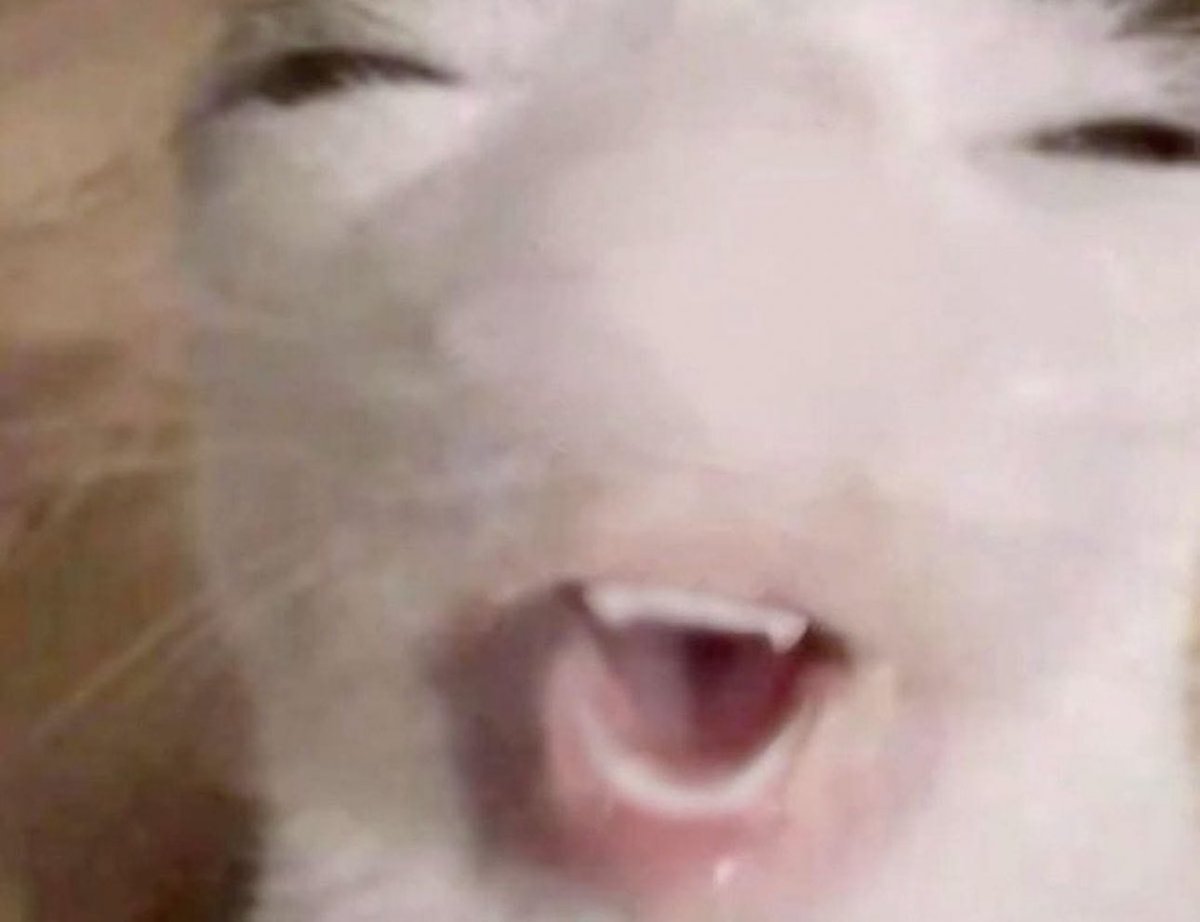 Crystal Molly tweet media