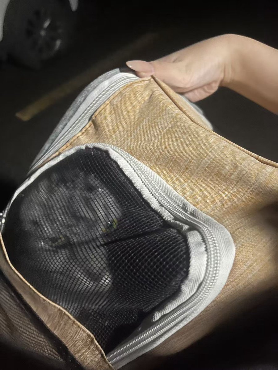 露露sama tweet media